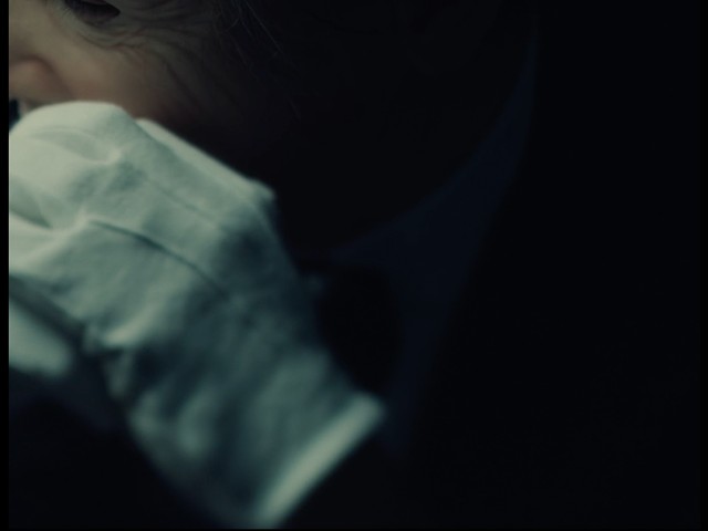 PRESIDENT - Angel Wings