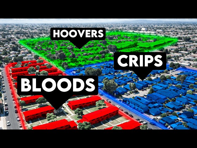 The Los Angeles Gang War, Mapped