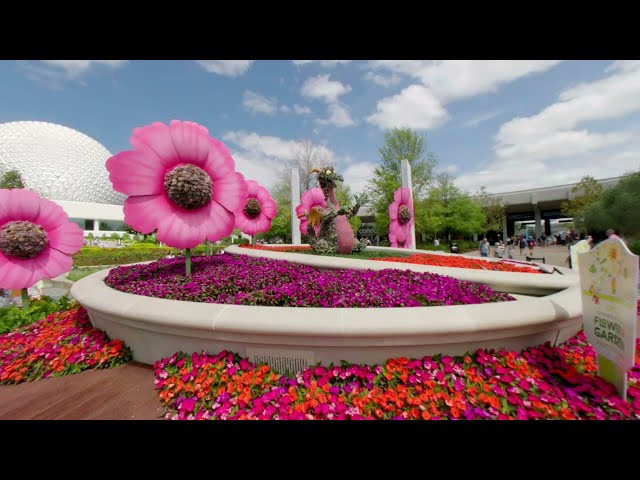 Epcot Flower and Garden Festival 2024 VR 180