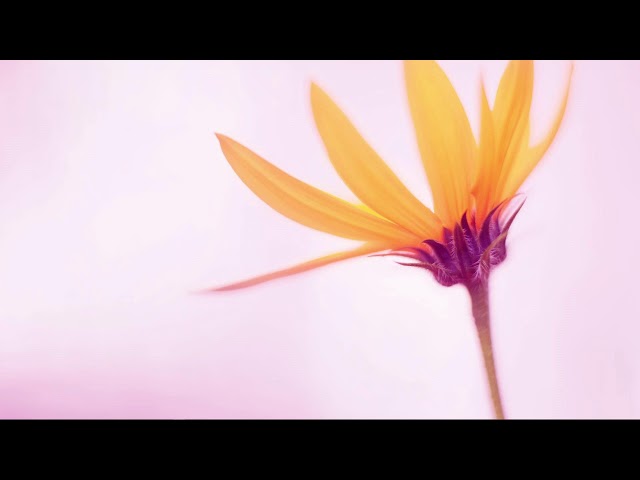 Free MS Excel Beginner Course on YouTube in Nepali & Hindi – Learn Excel Basics Online