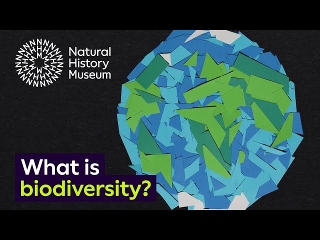 What is biodiversity? | Natural History Museum