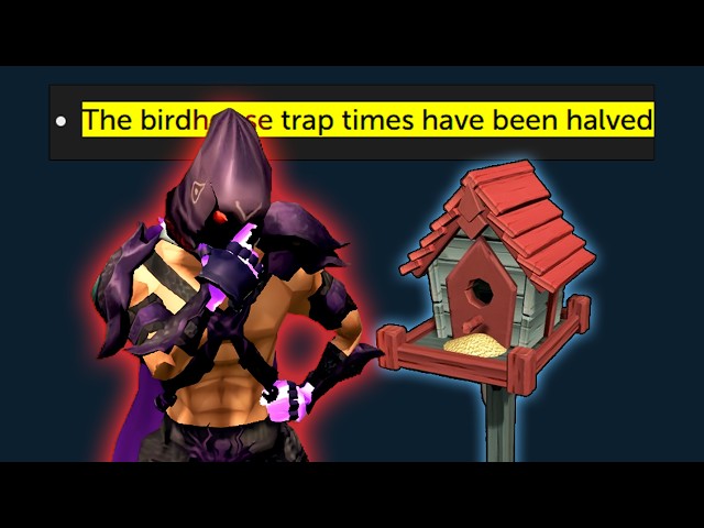 Are Birdhouses worth your time now?