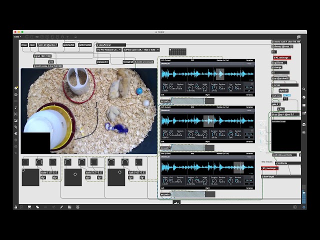 Chicken Breakcore - Live