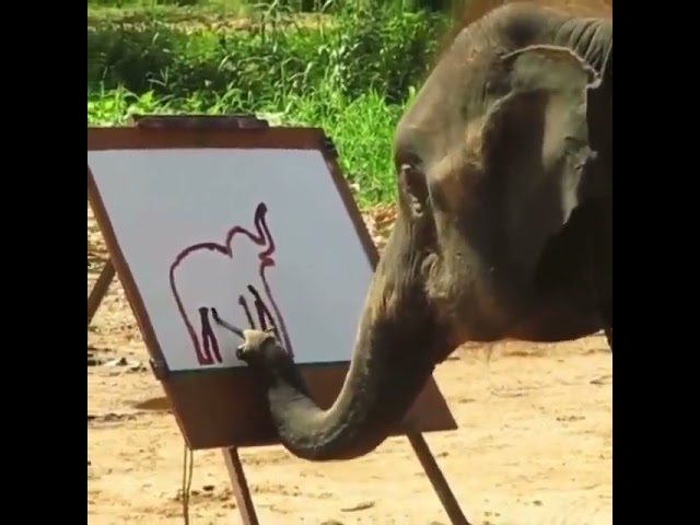 Soothing Nature 8k Video ultra hd 2023