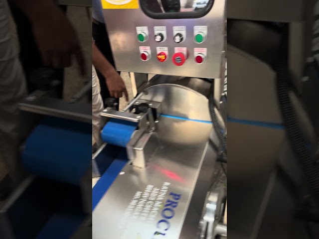 Vegetable Cutting Machine Cutting Leafy Vegetables/ Vegetable Cutting Machine/ Vegetable Cutter