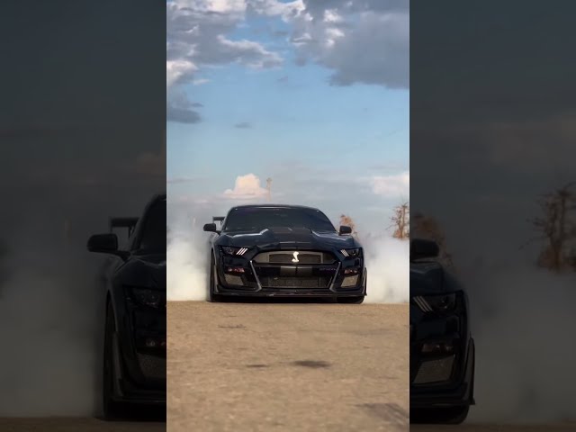 Ford Mustang Shelby gt500 🐍😎, El icono americano 🏎️