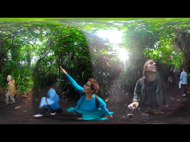 Burger's Zoo - Bush #1 - VR360