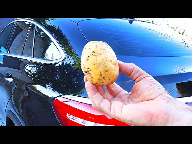 Only 2% of the World's Population Knows This Secret of Potato ! Amazing New Invention