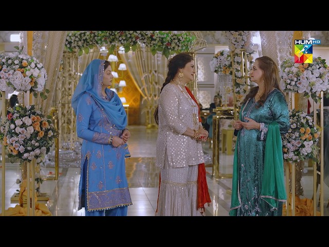 Inn Ghareebo Ke Zayda Muh Lagnay Ki Zaroorat Nahi Hai | #nabeelzuberi #minsamalik #Hadd #HUMTV