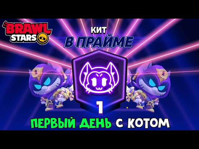 UPGRADING MY CAT (KIT) IN BRAWL STARS | Brawl Stars Supercell | 1 DAY WITH MY CAT IN THE GAME