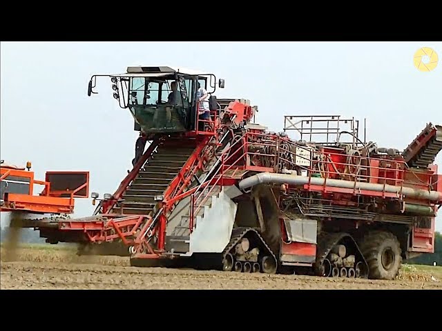 Modern Agriculture Technology | Monster Machine Operating | Coolest Machinery Operation
