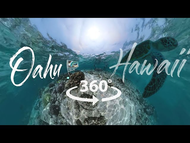Take a 360° Video Tour of Oahu, Hawai'i