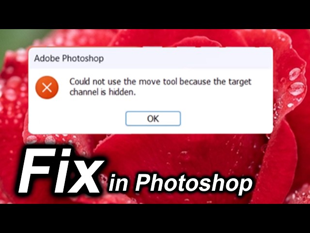 Could not use the move tool because the target channel is hidden