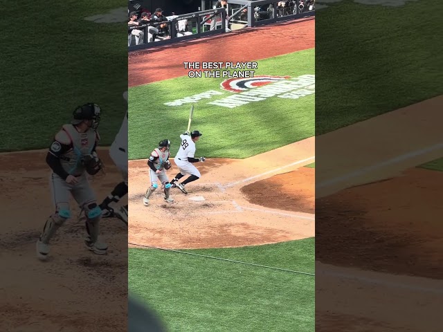 IS IT EVEN A DEBATE ATP👑⚾️#mlb #baseball #yankees #aaronjudge #nyc #shorts