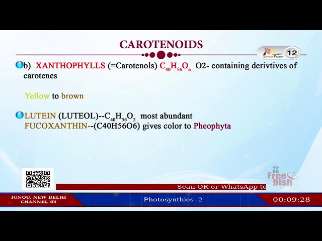 Ch-12: Live Streaming