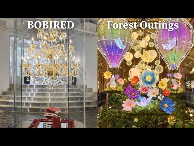 Bobired & Forest Outings