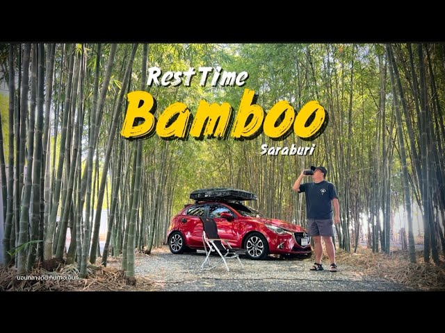 Rest Time Bamboo | Campsite in a Bamboo Tunnel | Chill out in the cool breeze | Phra Phutthabat, ...