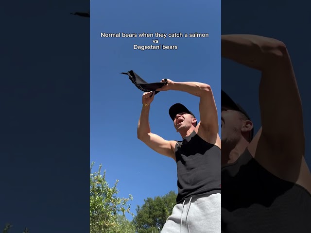 Normal bears when they catch a salmon vs Dagestani bears. #shorts #skit #ufc #funny