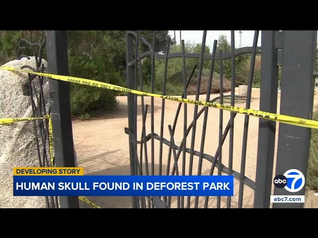 Human skull found during Easter egg hunt at SoCal park, police confirm