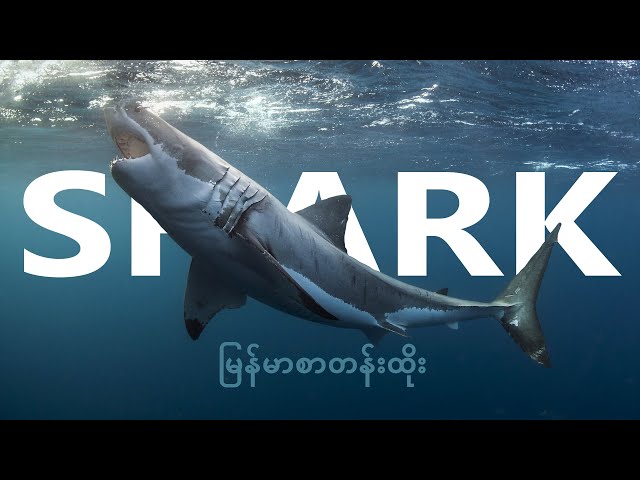 General knowledge myanmar live