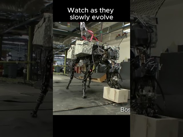 Evolution Of Boston Dynamics Robots 🤖