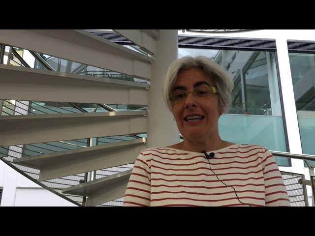 Learning with MOOC for Professional Development