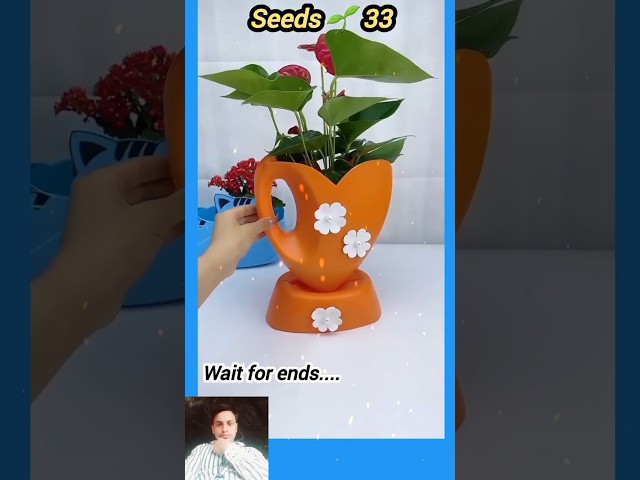 Bottle craft garden idea | বতোল বাগান #seedsplants33 #shorts #garden #craft #Bottle #bottlegarden