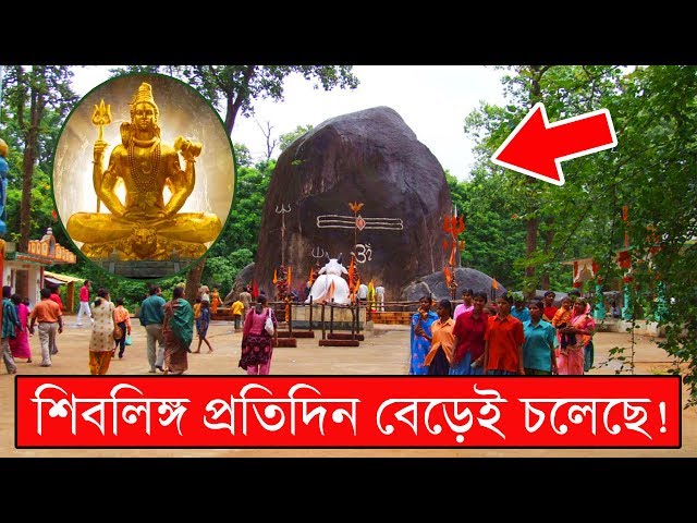 অলৌকিক শক্তির প্রভাবে যে শিবলিঙ্গ প্রতিদিন বেড়েই চলেছে !