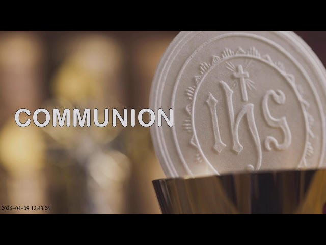 IMMACULATE CONCEPTION CATHEDRAL OF PASIG 24/7 LIVE STREAM