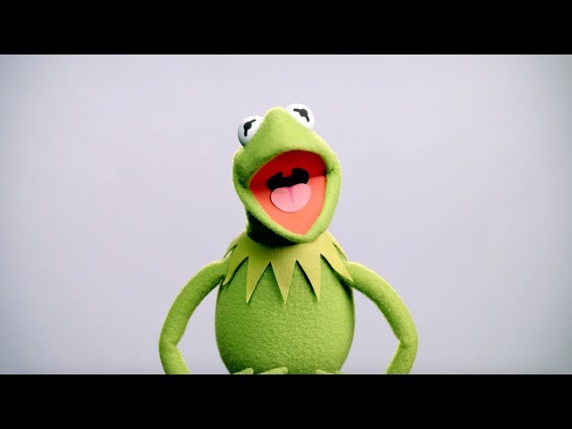 Kermit the Frog Buzzes In | Muppet Thought of the Week by The Muppets