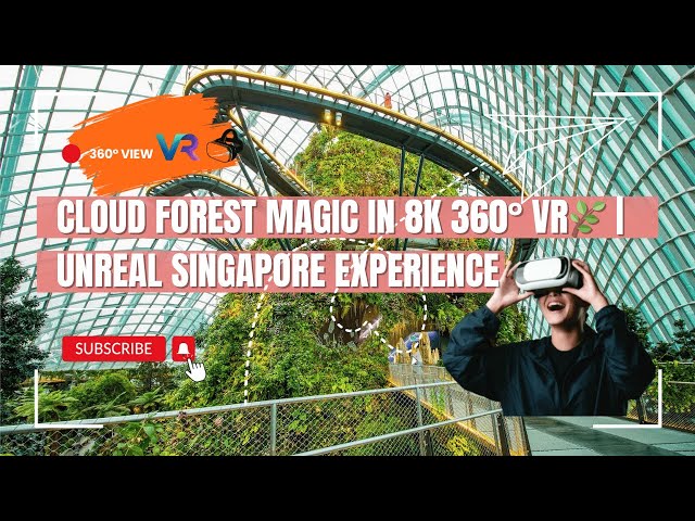 Cloud Forest Magic in 8K 360° VR 🌫️🌿 | Unreal Singapore Experience 🇸🇬 #vr #gardensbythebay