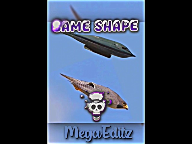 B-2 stealth bomber X Falcon..💀