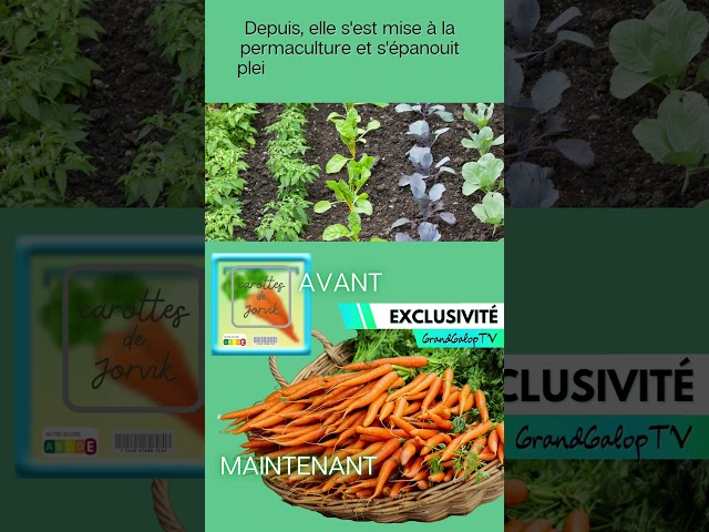 #cheval #humour #parodie