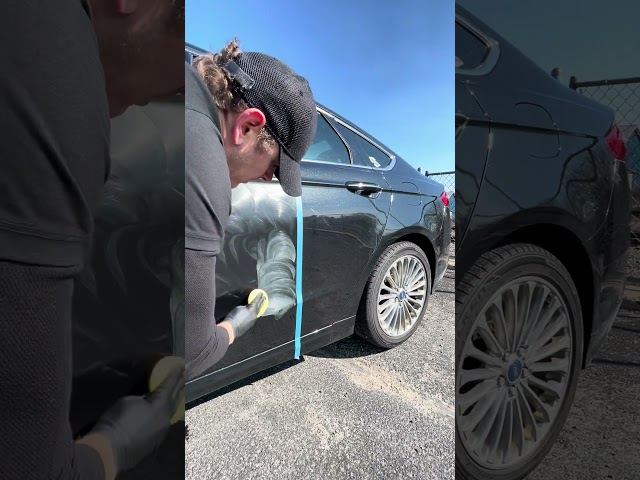 Save Your Car Paint & Your Money!