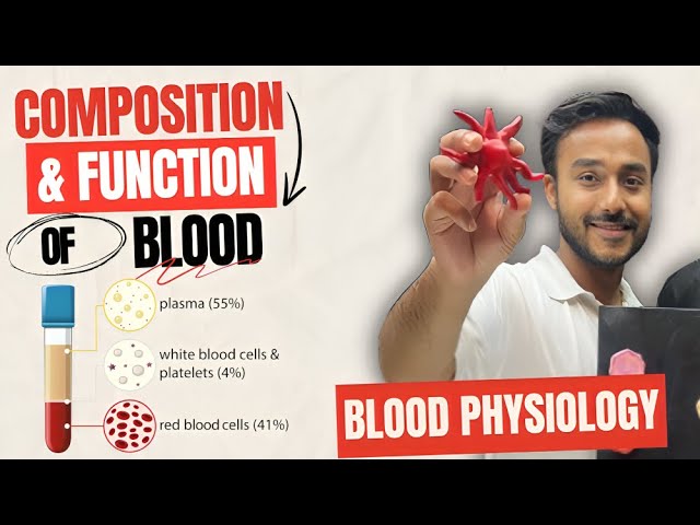 function of blood physiology | composition of blood physiology | formed elements of blood physiology