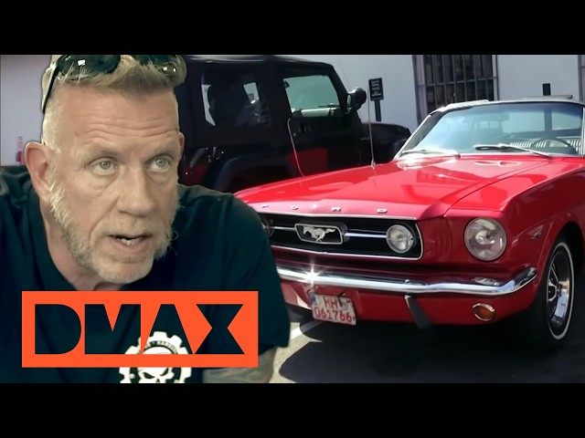 Schnäppchen oder Abzocke? Auto-Deals mit MEGA-Gewinn! 🚗💰 | COMPILATION | Cash für Chrom