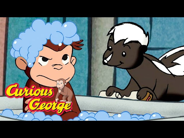 George's Skunk Problem 🐵 Curious George 🐵 Kids Cartoon 🐵 Kids Movies