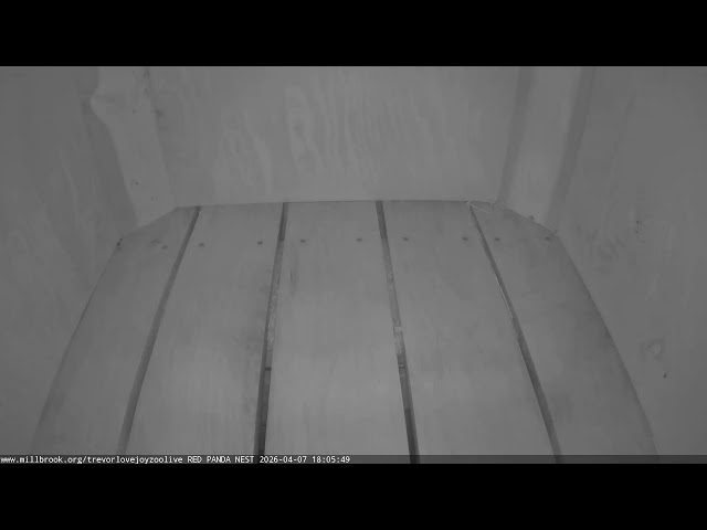 Trevor-Lovejoy Zoo Red Panda Nest