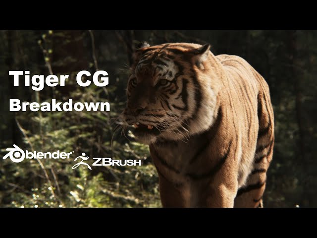 CG Tiger Breakdown | Blender Zbrush