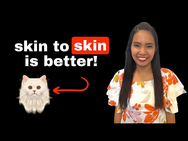 Dear Foreigner, start living in 2025