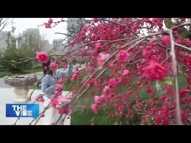 Watch CGTN Europe News LIVE 24/7