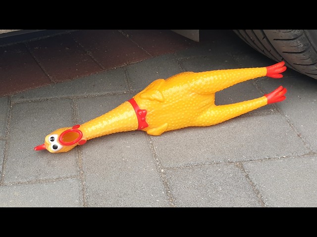 CAR VS + Crunchy & Soft Things + The dog reaction, Dogs Mask