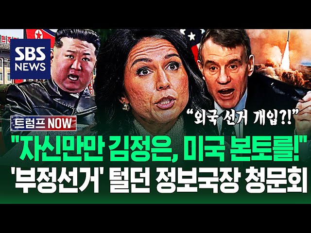 "자신감 넘치는 북한, 한국도 위험해!" 트럼프 '무한 신뢰' 정보국장 청문회.."선관위 압수수색 때 뭐했죠?" 의심에 / SBS / 트럼프 NOW