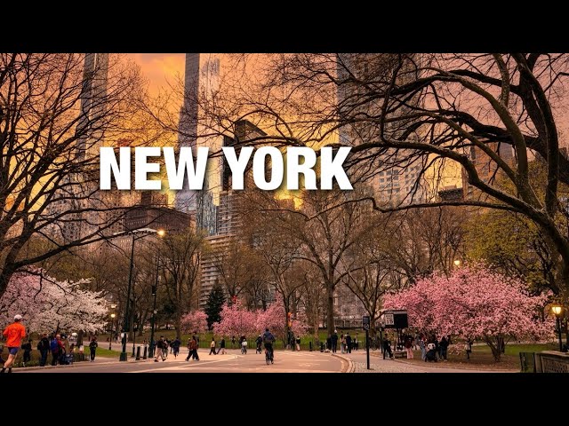 New York City LIVE Iconic Manhattan Spring in New York City (April 6, 2026)