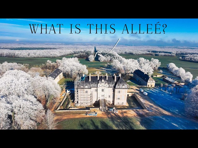 Explore the Château's extraordinary Grande Allée