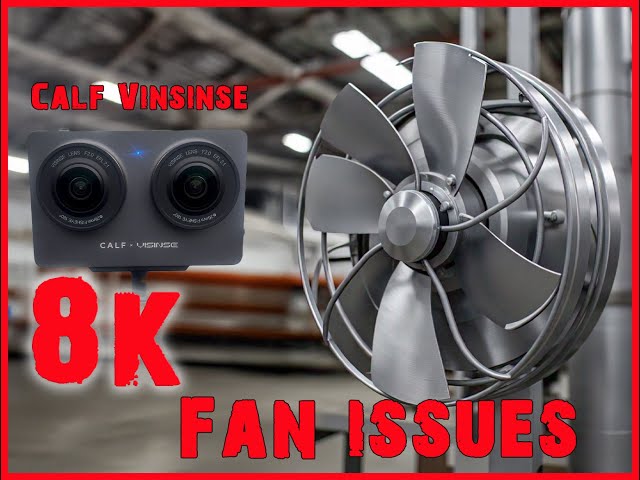 8k Calf Vinsinse Audio Sync Test.