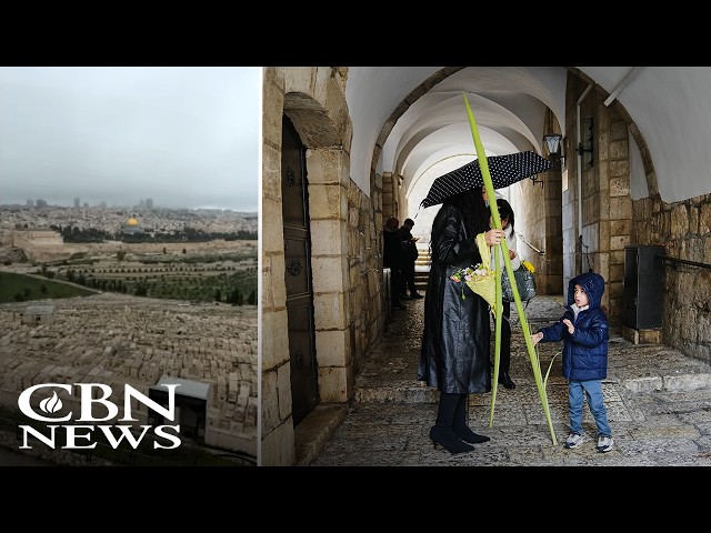 Palm Sunday in Jerusalem Overlooking the Old City