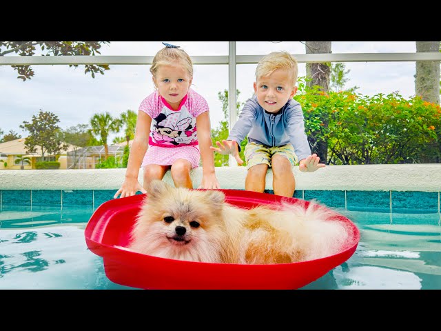 Naomi and David found puppy in the pool