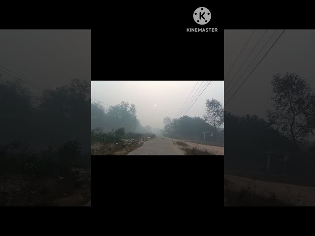 #mini vlog 4#short #shortvideo #viral video