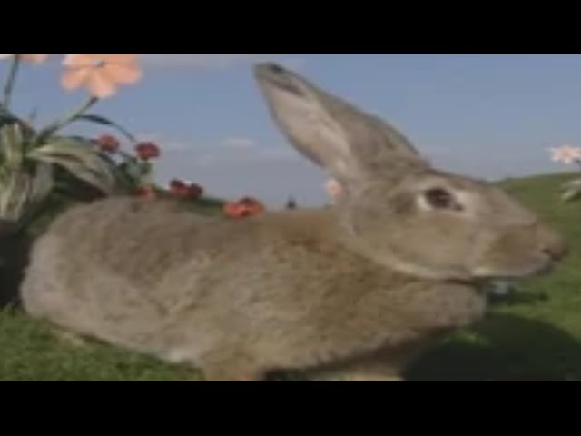 dipsy in slendytubbies 0